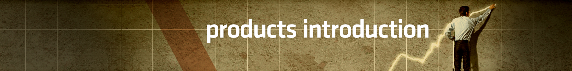 products introduction
